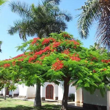 Apartment Calm & Gardens In Parque Golf, Maspalomas